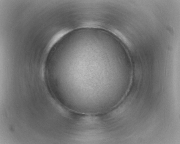 X0000115731277200911251930