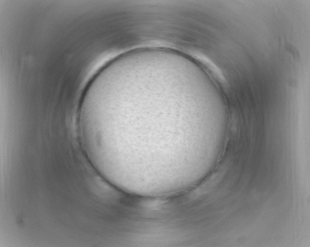 X0000115731278200911251930