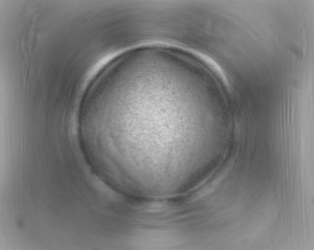 X0000115731279200911251930