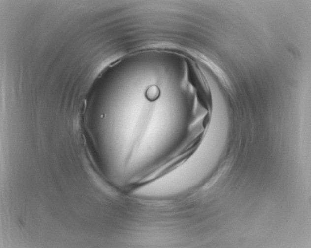 X0000115731281200911251930