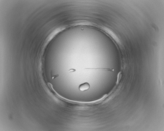 X0000115731282200911251930