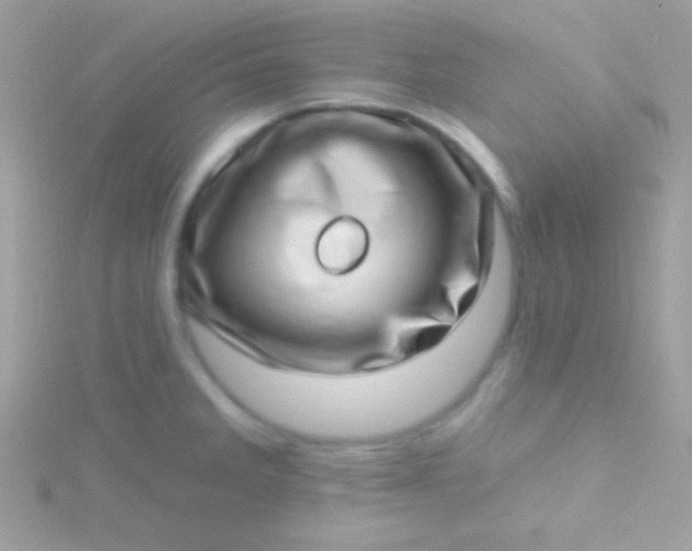 X0000115731285200911251930