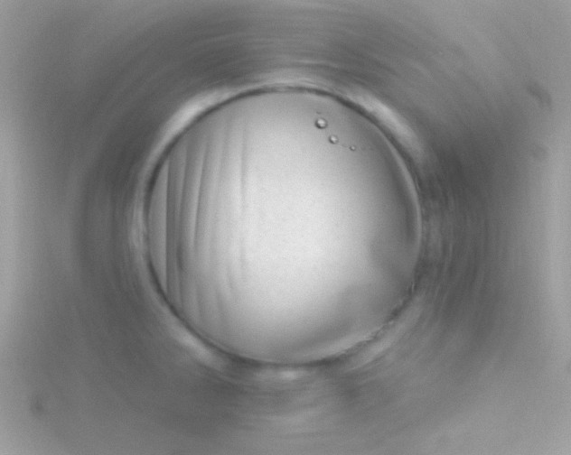 X0000115731286200911251930