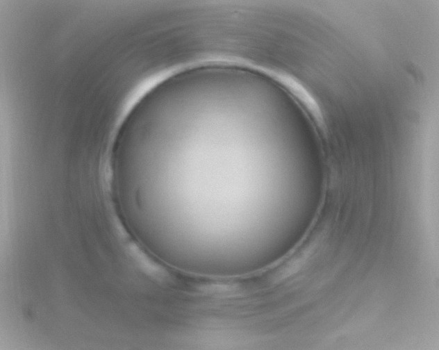 X0000115731287200911251930