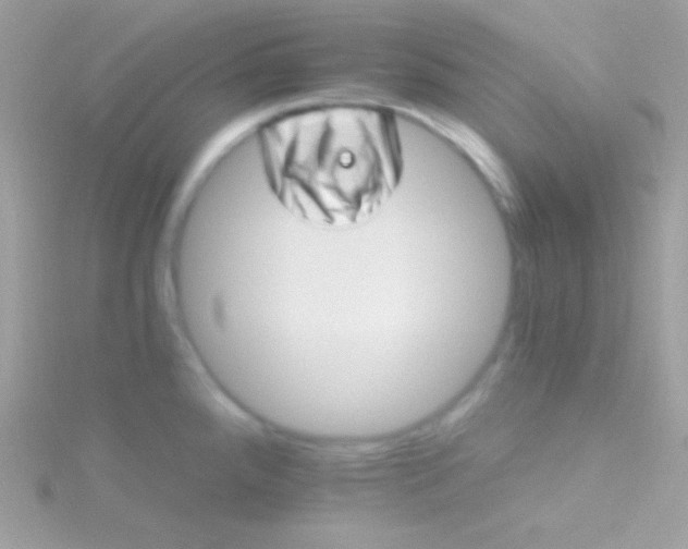 X0000115731288200911251930