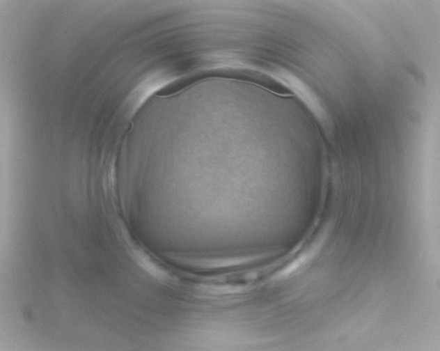 X0000115731289200911251930