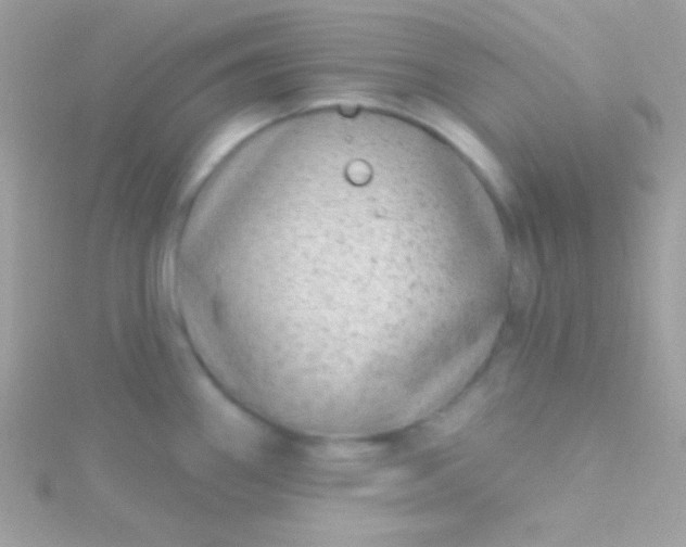 X0000115731290200911251930