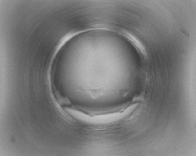 X0000115731291200911251930