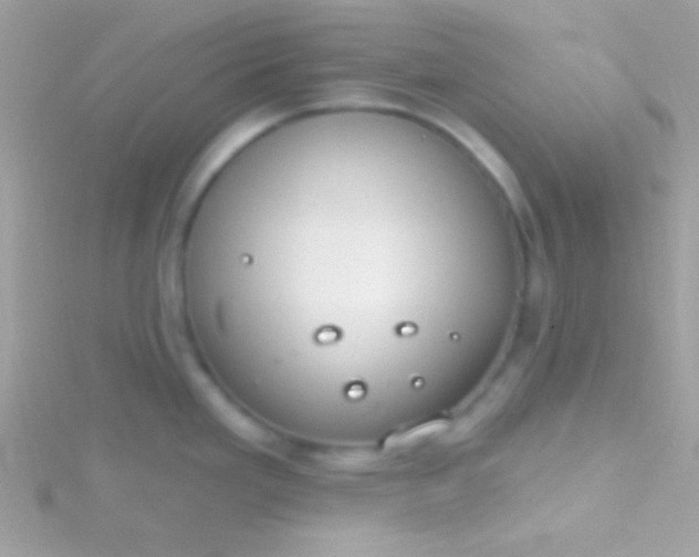 X0000115731293200911251930