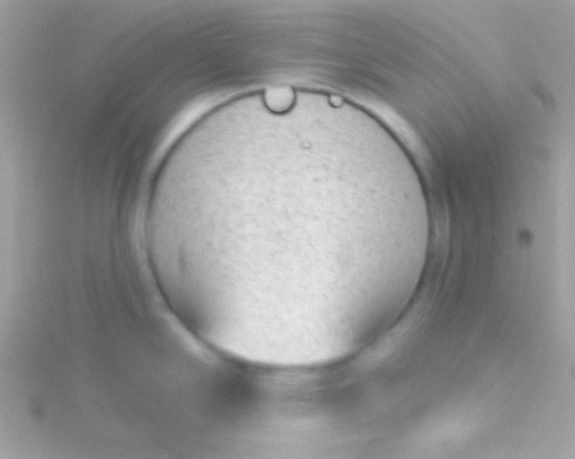 X0000115731294200911251930