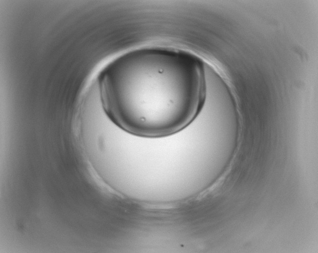 X0000115731296200911251930