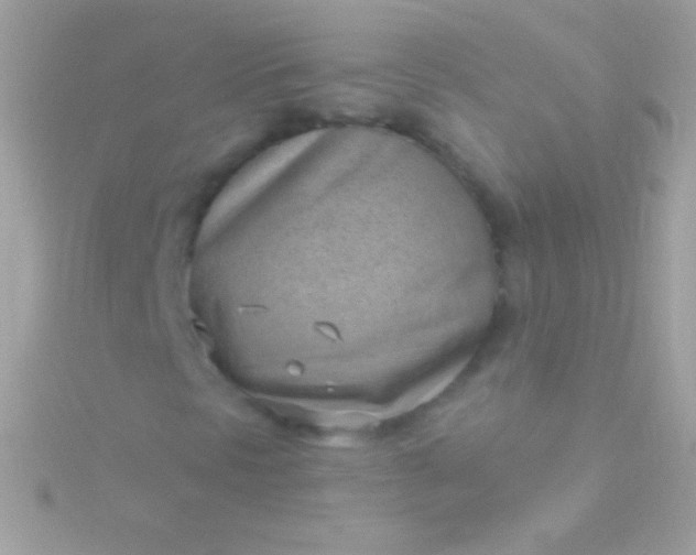 X0000115731297200911251929