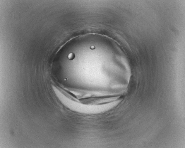 X0000115731298200911251929