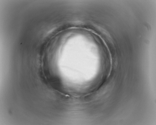 X0000115731301200911251929