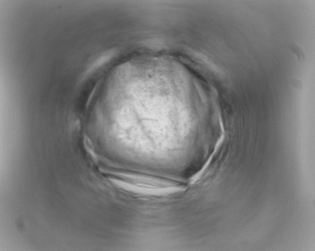 X0000115731302200911251929