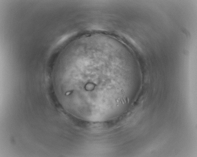 X0000115731303200911251929