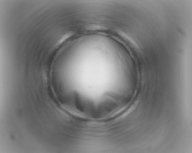 X0000115731305200911251929