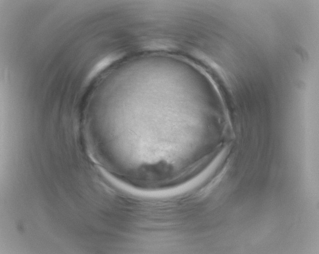 X0000115731306200911251929