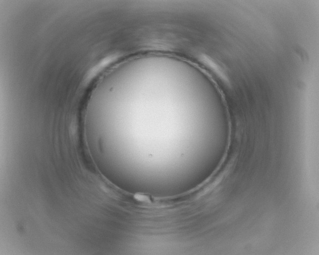 X0000115731307200911251929