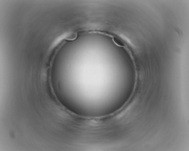 X0000115731309200911251929