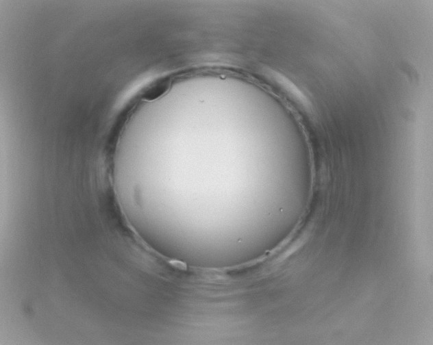 X0000115731310200911251930