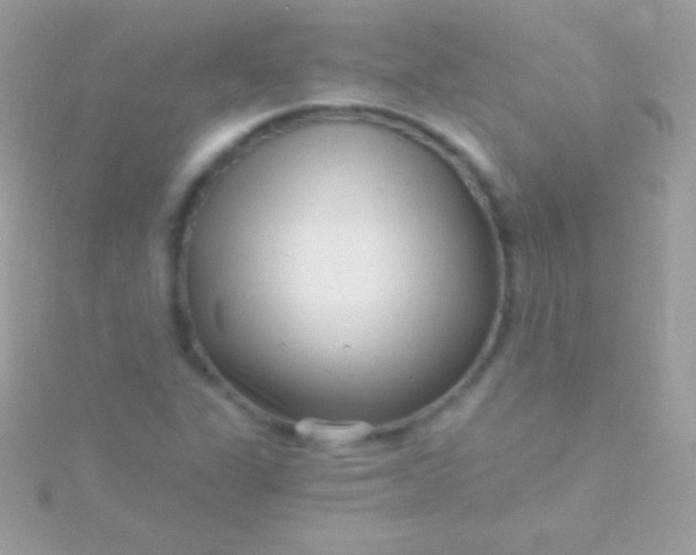 X0000115731311200911251930