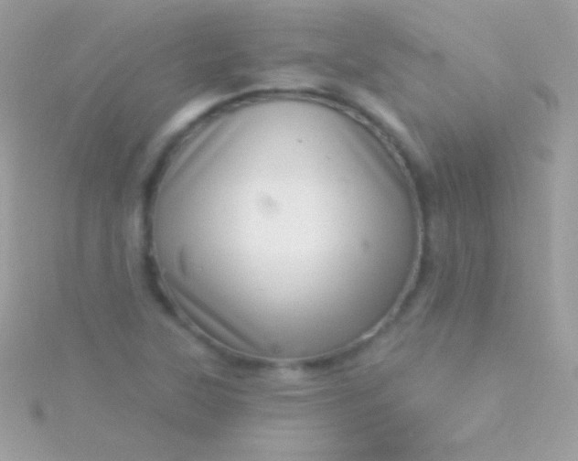 X0000115731315200911251930