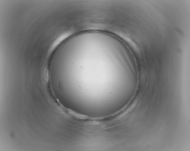 X0000115731317200911251930