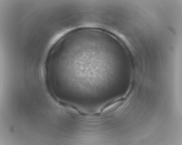 X0000115731319200911251930