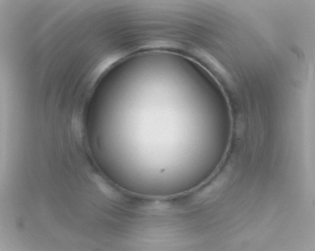 X0000115731321200911251930