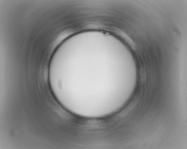 X0000115731322200911251930