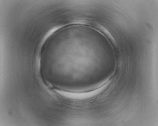 X0000115731323200911251930