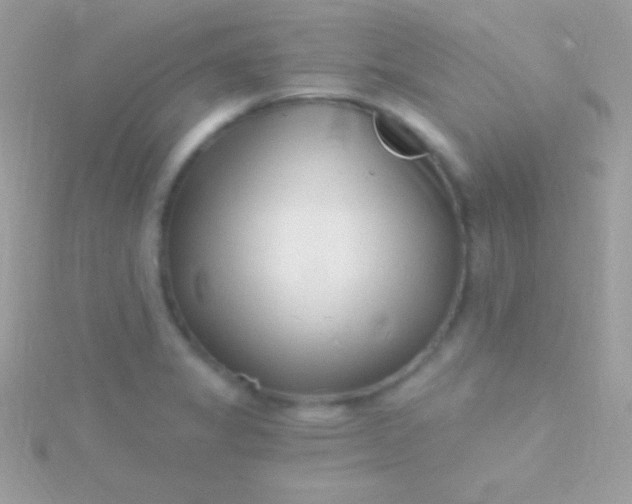 X0000115731325200911251930