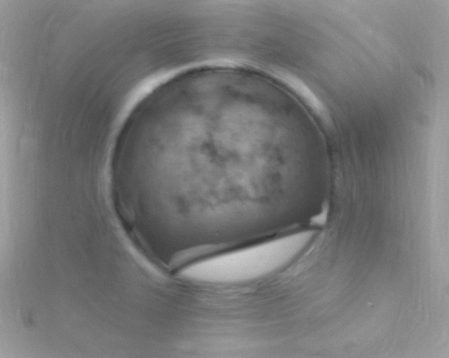 X0000115731327200911251930