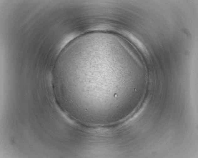 X0000115731329200911251930