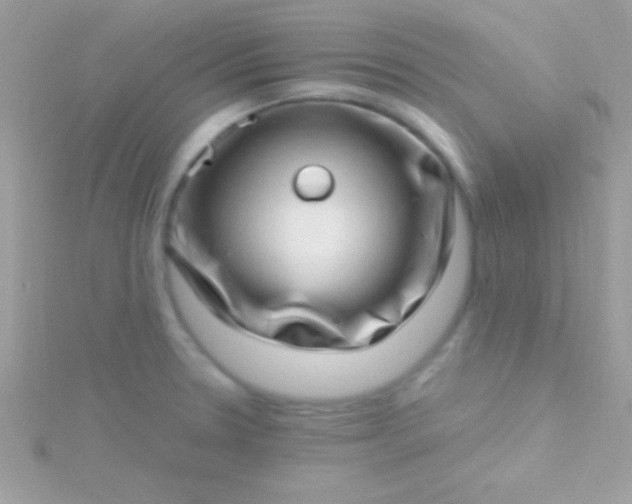 X0000115731330200911251930