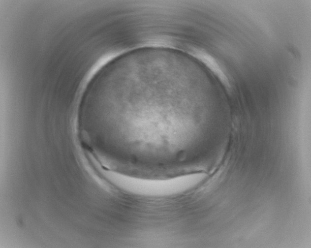 X0000115731331200911251930