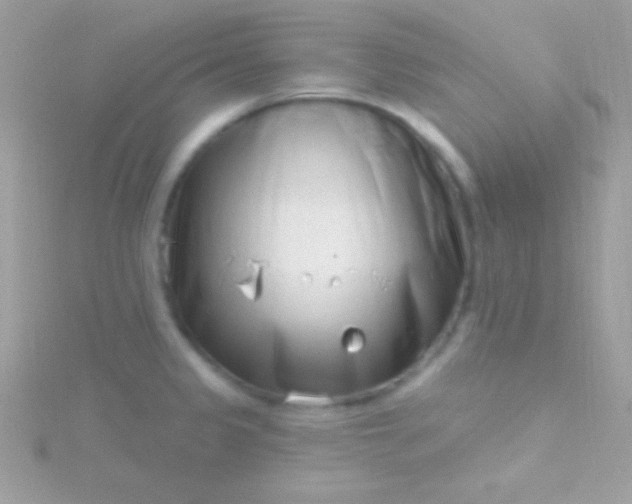 X0000115731333200911251930