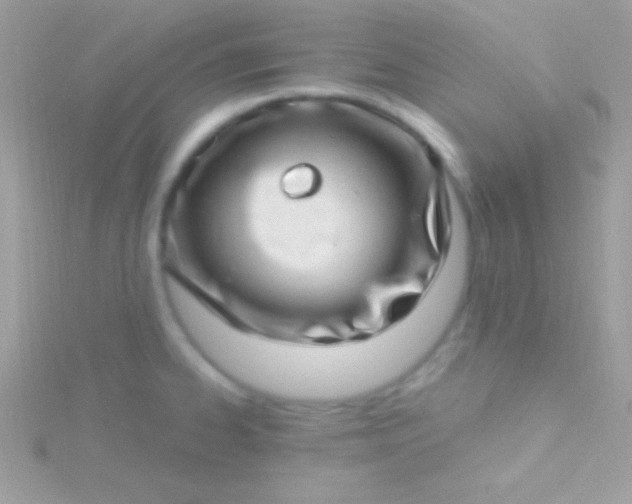 X0000115731334200911251930