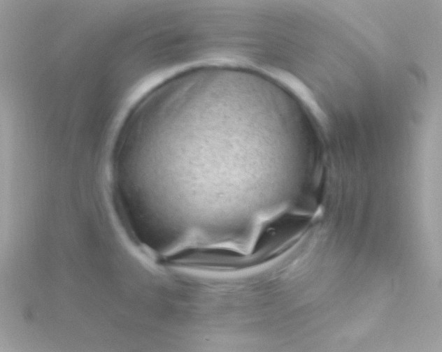 X0000115731335200911251930