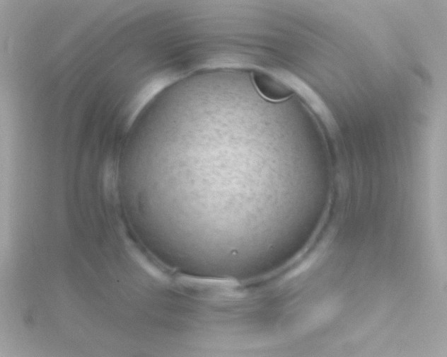 X0000115731337200911251930