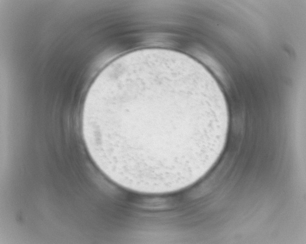 X0000115731338200911251930