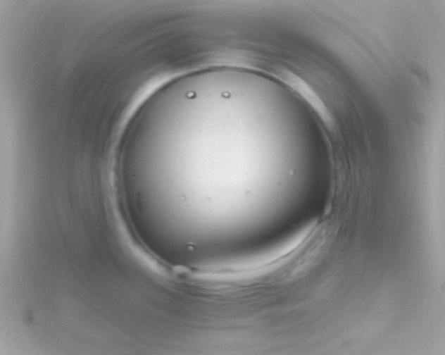 X0000115731339200911251930