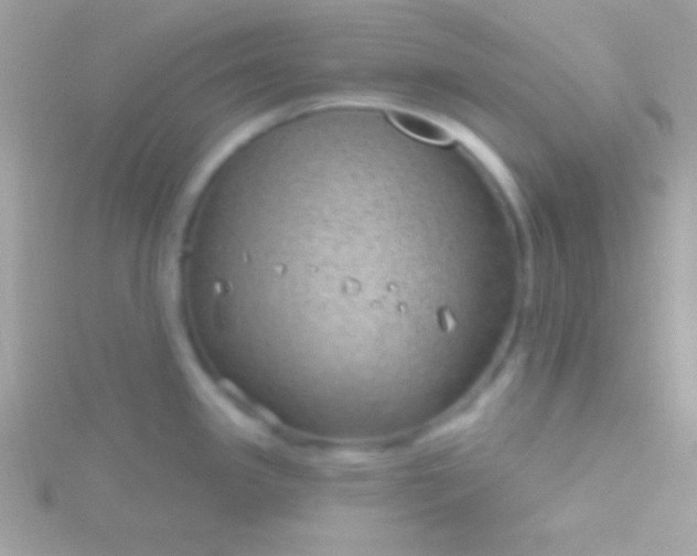 X0000115731341200911251930