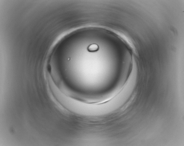 X0000115731342200911251930