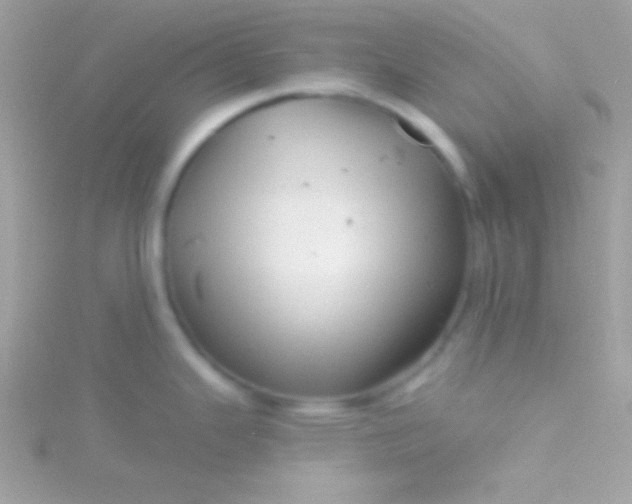 X0000115731343200911251930