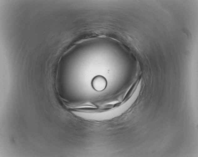 X0000115731345200911251929