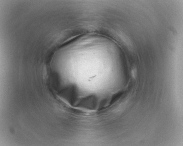 X0000115731347200911251929