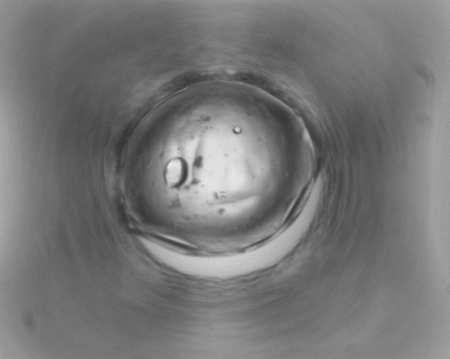 X0000115731348200911251929