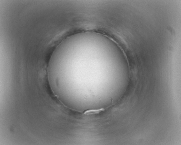 X0000115731349200911251929